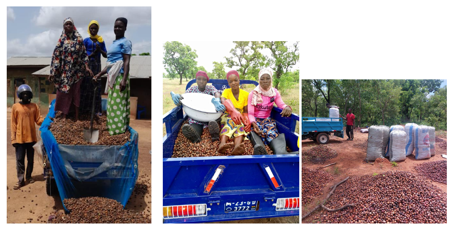 Wheels of Change: How new tools are driving youth participation in the shea value chain